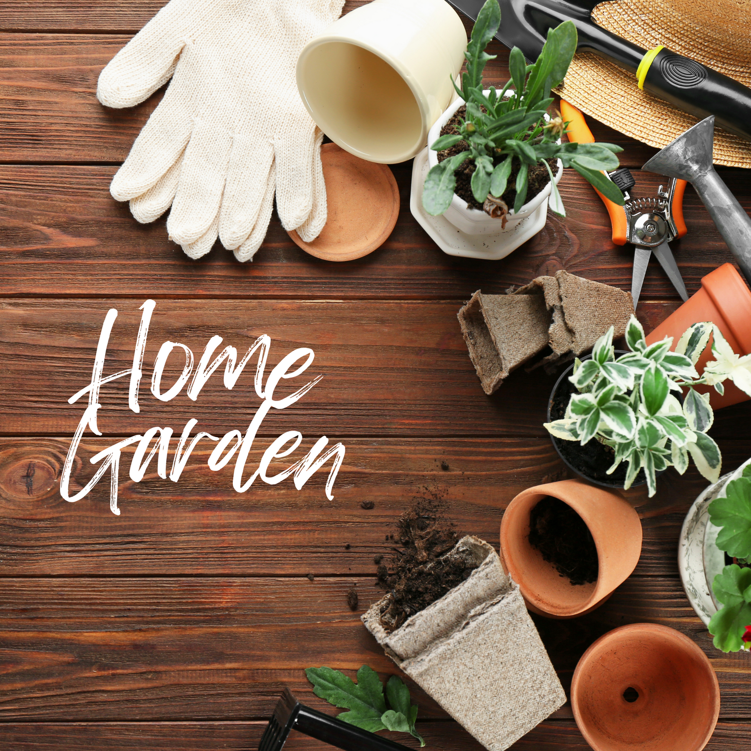 Home & Garden